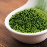 Chlorella